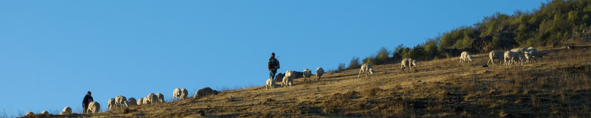 Panoramic view mountains in Sierra de los Cuchumatanes, Huehuetenango, Guatemala.